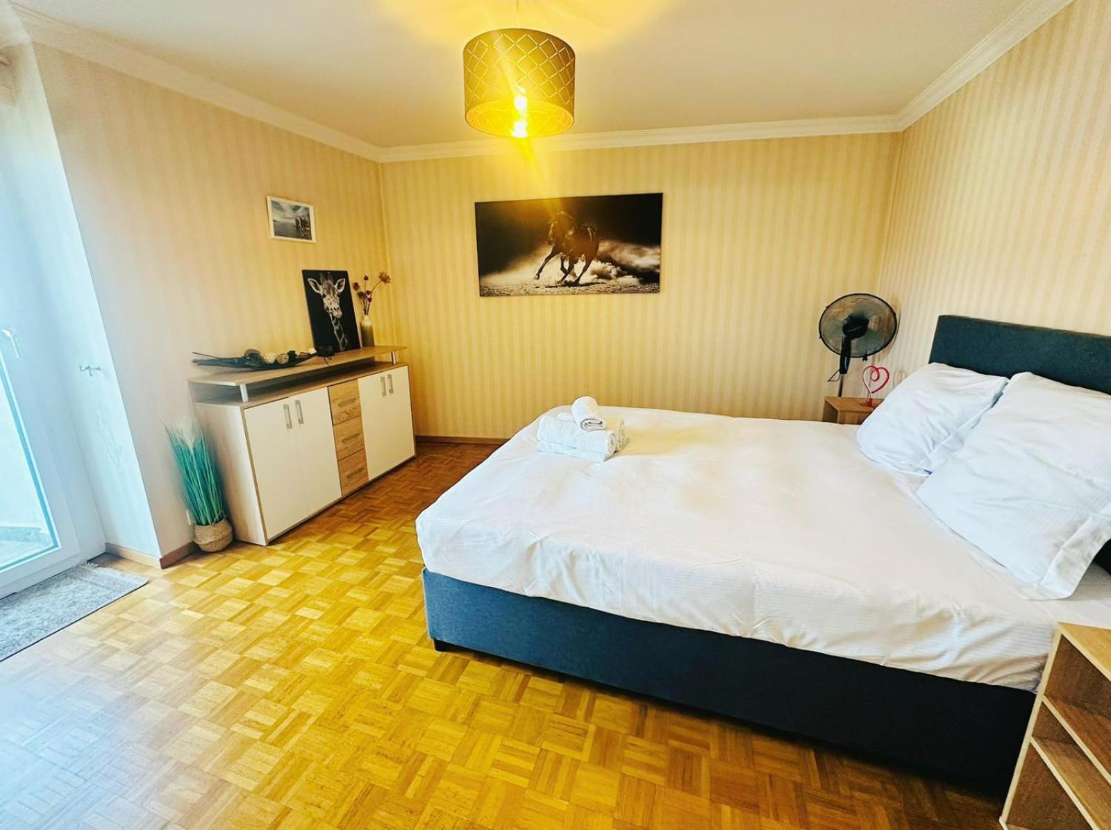 Apartment Ix